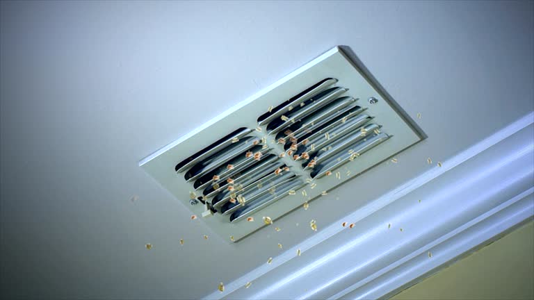 Best Air Duct Cleaning Near Me  in Seminole, FL