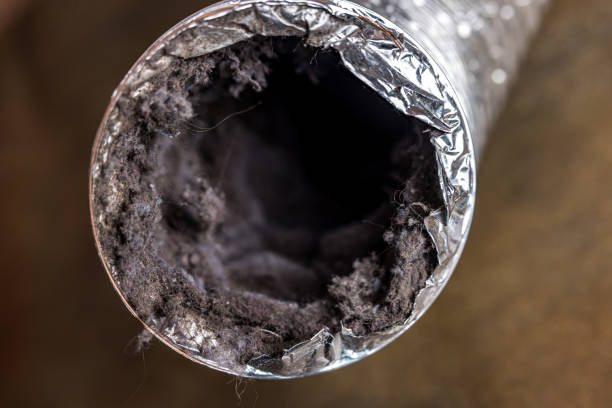 Best Air Duct Cleaning Near Me in FL